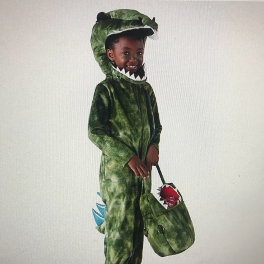 Pottery barn t-Rex costume.
